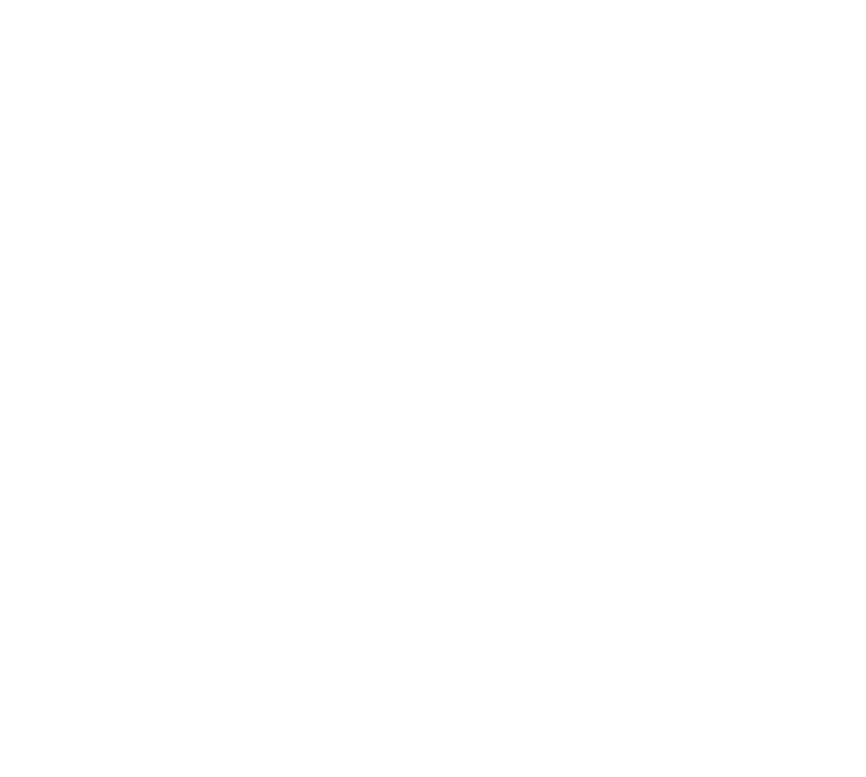 Discisius